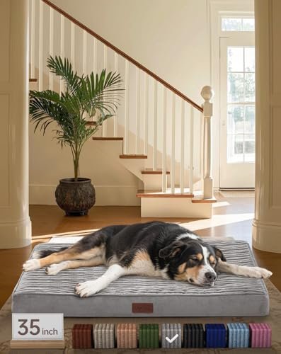 OhGeni Orthopedic Waterproof & Machine Washable Dog Bed for Medium Large Pets, Suitable for Crates, 25D Egg Crate Foam, Non-Slip Bottom & Removable Cover, Gifts for Dad, 35 Inches(Gray)