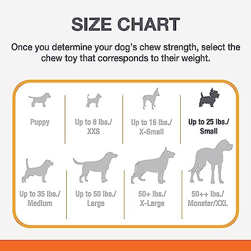 Puppy Teething Relief Chew Toy | Bacon Flavor Nylabone Pacifier | Small Breed - Image 5