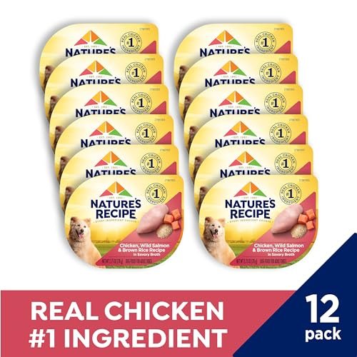 Nature's Recipe Chicken & Salmon Wet Dog Food, 2.75oz, 12-Pack - Image 2