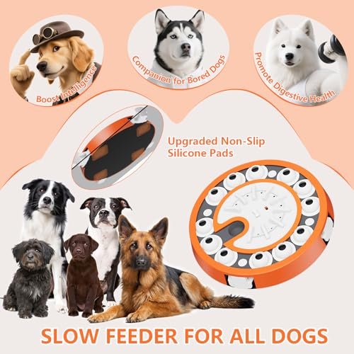 Interactive Level 3 Dog Puzzle Toy – Treat Dispenser & Brain Game - Image 6