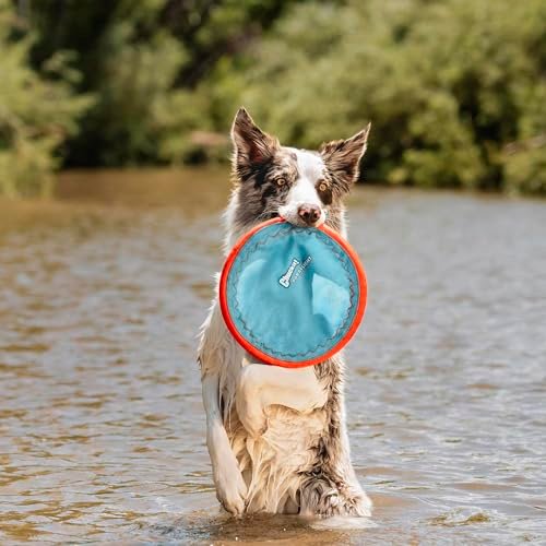 Chuckit! Paraflight Dog Frisbee: Floating, Durable Outdoor Toy for Large Dogs - Image 2