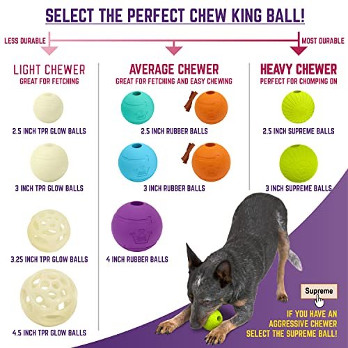 Durable Dog Fetch Balls | Interactive Chew King Toy for All Breeds - Image 4