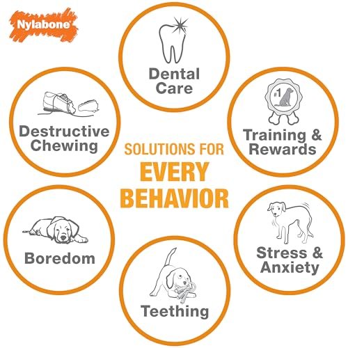 Puppy Teething Relief Chew Toy | Bacon Flavor Nylabone Pacifier | Small Breed - Image 7