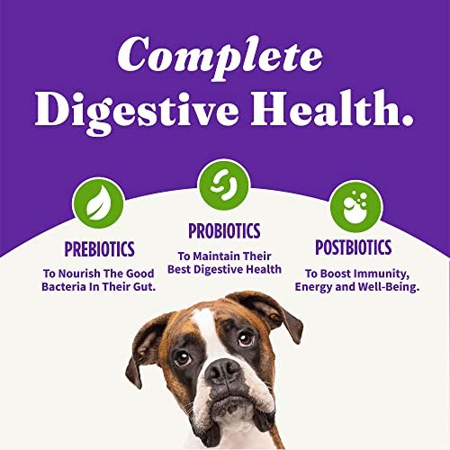 Halo Vegan Adult Dog Food, Holistic Plant Protein, Digestive Health, 10lb - Image 7