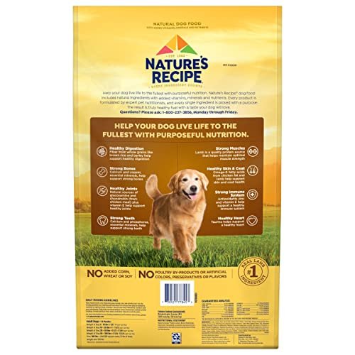 Senior Dog Nutrition: Nature's Recipe Lamb & Brown Rice Dry Food, 24 lb - Image 5