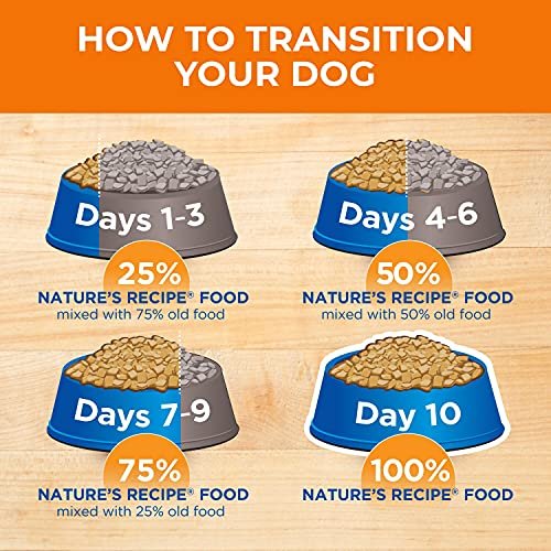 Senior Dog Nutrition: Nature's Recipe Lamb & Brown Rice Dry Food, 24 lb - Image 11