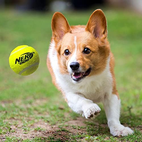 Nerf Dog Ball Launcher: 50 ft Fetch Toy for All Breeds with 3 Tennis Balls - Image 4