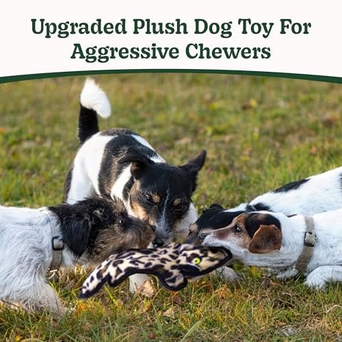 Indestructible Dog Toys: Squeaky Chew Toy for Aggressive Dogs, Tough Teething Relief - Image 2
