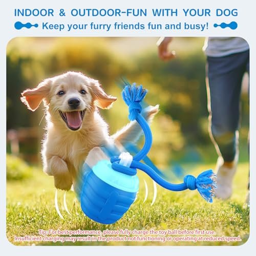 Interactive Dog Ball Toy: Motion Activated, USB Rechargeable, Training & Play - Image 4