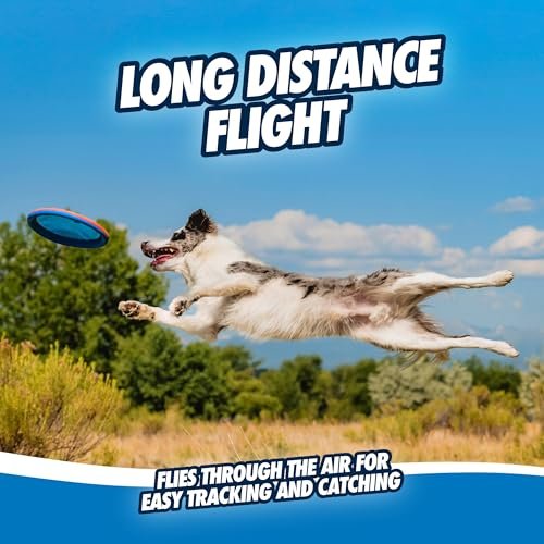 Chuckit! Paraflight Dog Frisbee: Floating, Durable Outdoor Toy for Large Dogs - Image 6