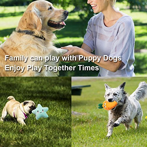Small Dog Squeaky Toys: 9 Pack Cute Puppy Chew Toys Variety Colors - Image 7