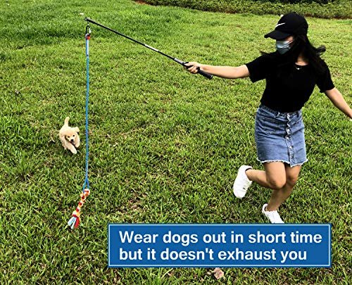 Interactive Dog Flirt Pole Toy: Tug, Chase & Train with Durable Rope Lure (35") - Image 2