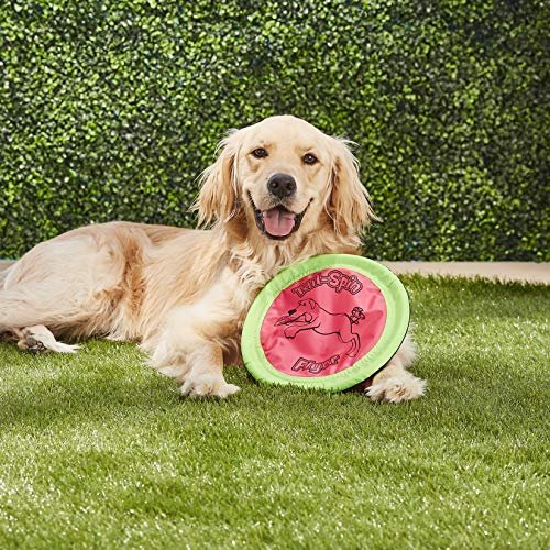 Chuckit! Floating Dog Frisbee - Durable Outdoor Pet Toy for Fetch and Water Play - Image 2
