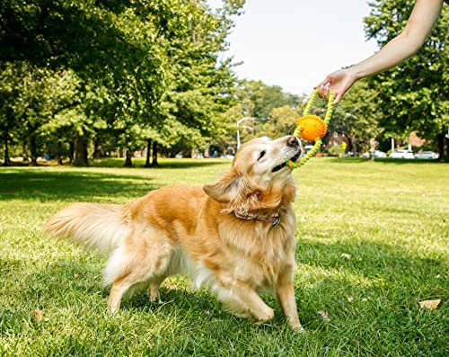 Bacon-Scented Dog Chew Toy | Durable Medium Large Breed Dog Toy | Long-Lasting - Image 5
