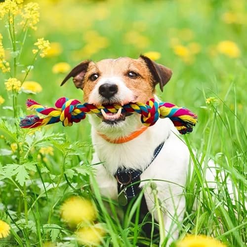 Durable 12" Knotted Rope Chew Toy for Large Dogs – Tough & Fun - Image 4