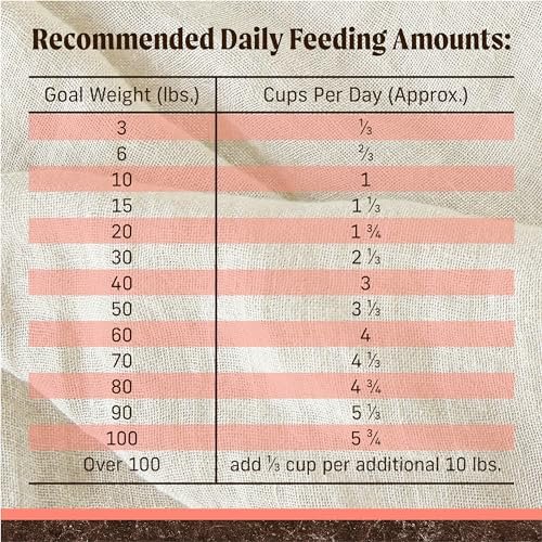 Merrick Grain Free Adult Dog Food - Real Salmon & Sweet Potato Recipe, 22 lb - Image 10