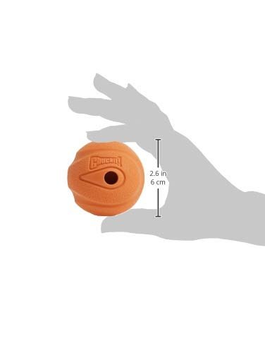 Chuckit! Medium Dog Balls: Durable Floating Fetch Toy for Interactive Play, 2.5" - Image 3
