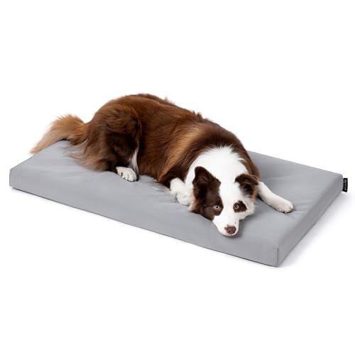 Tough Orthopedic Dog Bed: Chew-Proof Waterproof Crate Mat for Large Breeds - Image 9