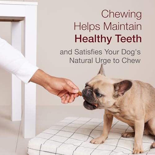 SmartBones Smart Kabobz: Rawhide-Free Dog Chews with Real Chicken, Pork & Duck - Image 5