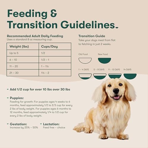 Jinx Salmon Superfood Dog Food: Grain-Free Nutrition for All Dogs & Puppies - Image 10