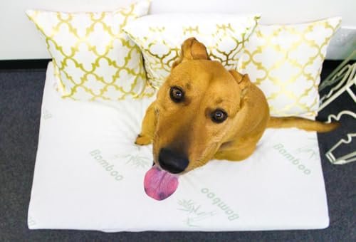 Eco-Friendly Bamboo Memory Foam Dog Bed | Comfort & Support | Medium Size - Image 6