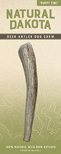 Natural Dakota Deer Antler Dog Chew, Long-Lasting Puppy Dental Treat, Medium - Image 3