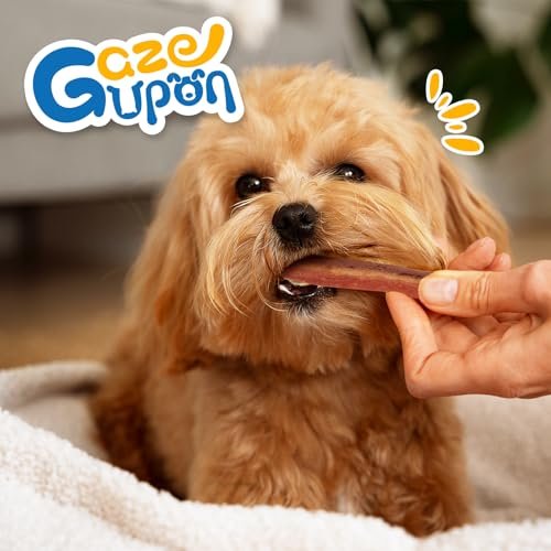 Premium Dog Treats: Chicken, Duck & Beef Training Strips, Healthy Protein Snacks 14oz - Image 7