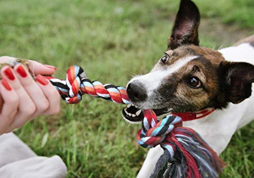 Durable Dog Rope Toys 4-Pack: Teething Puppy Chew Tug Ropes for Small Dogs - Image 7