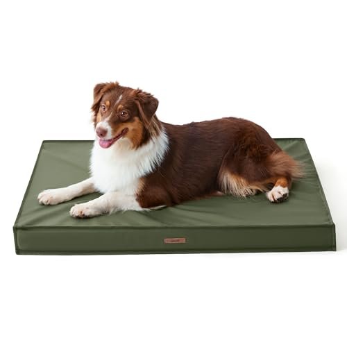 Lesure Outdoor Waterproof Dog Bed Medium Size Dogs, Orthopedic Egg Crate Foam Pet Bed with Oxford Fabric Surface and Removable Washable Cover, Pet Mat 30''x20'', Green