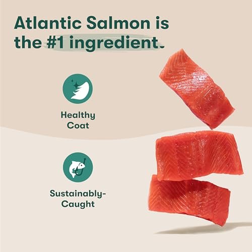 Jinx Salmon Superfood Dog Food: Grain-Free Nutrition for All Dogs & Puppies - Image 2