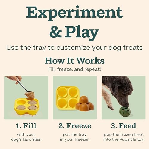 WOOF Interactive Dog Toys: Chicken Treat Molds for Large Dogs Boredom Relief - Image 6