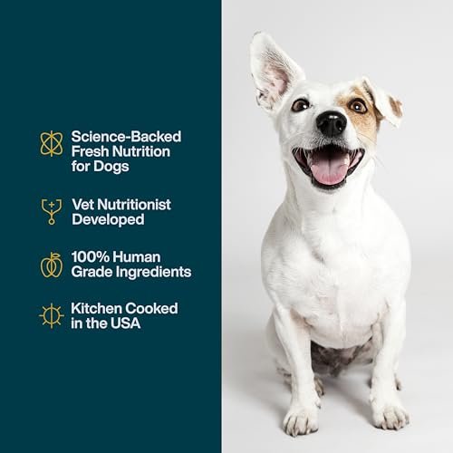 JustFoodForDogs Fresh Chicken Wet Dog Food, Human-Grade, No Preservatives, 12oz (7 Pack) - Image 5