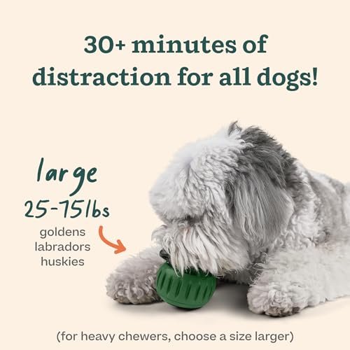 WOOF Interactive Dog Toys: Chicken Treat Molds for Large Dogs Boredom Relief - Image 4