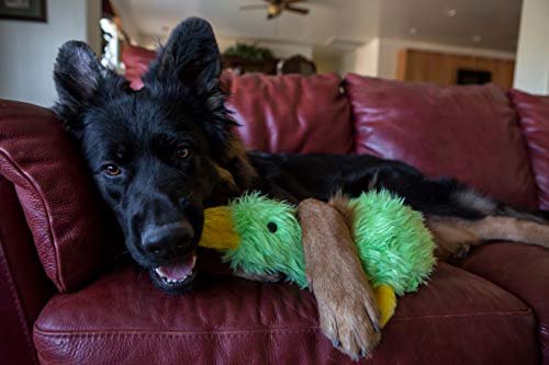 Soft Squeaky Duck Dog Toy - MULTIPET Duckworth Plush Pet Chew Companion - Image 3
