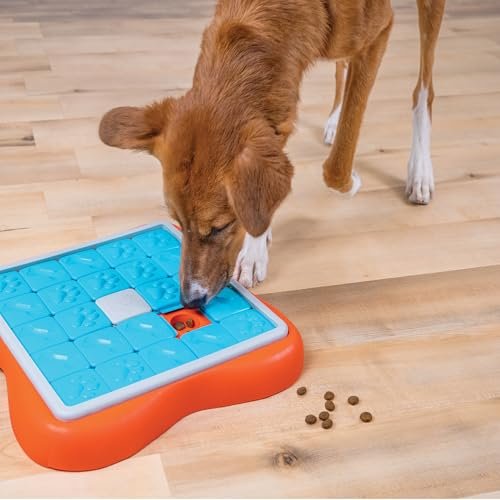 Interactive Dog Puzzle Toy: Advanced Treat Slider Mental Stimulation Game - Image 2