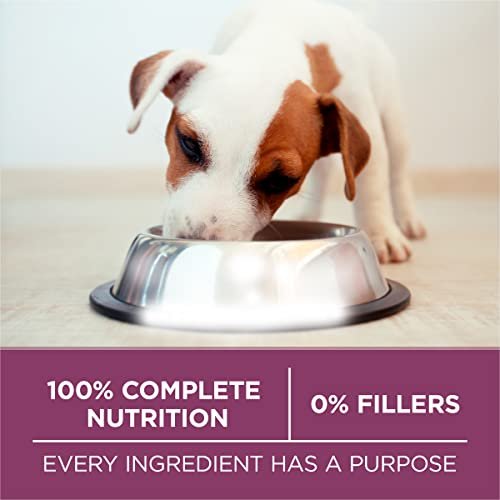 Purina ONE Healthy Puppy High Protein Natural Dry Dog Food, 31.1 lb - Image 7