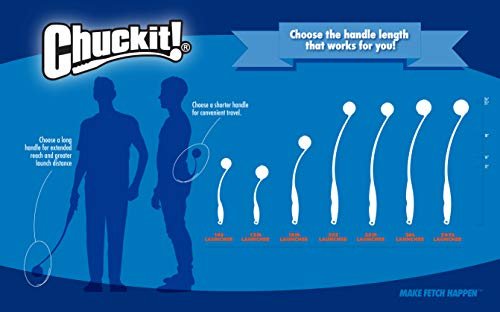 Chuckit! Medium Dog Balls: Durable Floating Fetch Toy for Interactive Play, 2.5" - Image 8