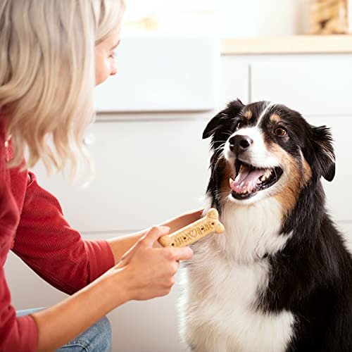 Large Dog Dental Treats: Milk-Bone Crunchy Biscuits for Teeth Cleaning & Oral Care - Image 6