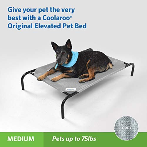 Coolaroo Elevated Dog Bed: Cooling, Orthopedic Comfort for Medium Dogs - Grey - Image 2