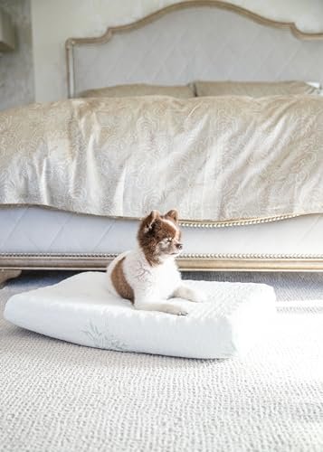 Eco-Friendly Bamboo Memory Foam Dog Bed | Comfort & Support | Medium Size - Image 5