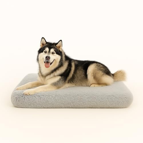 Trusted Choice Market Dog beds, pet beds(XX-Large) - Premium Quality, Washable & Portable, Eco-Friendly, Multiple Sizes, Stylish Design, Removable Cover, Size XXLarge(47.24 X 31.49 X 3.93) inch