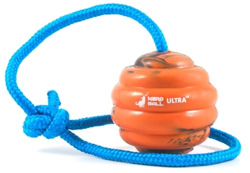 Nero Ball Pro K-9 Dog Training Ball on Rope – 2.75″ Heavy-Duty Natural Rubber Reward & Tug Toy with Nylon Throw Handle – High-Visibility Orange – Police, Military & Sport Working Dogs Fetch