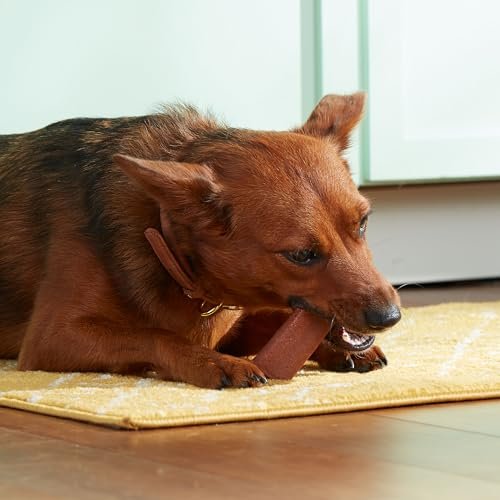 Rachael Ray Nutrish Beef Barley Soup Bones Dog Treats - Natural Dental Chews - Image 7