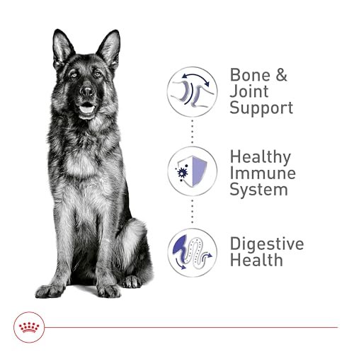 Large Breed Adult Dog Food, High-Protein Nutrition for Big Dogs, 30 lb Bag - Image 3