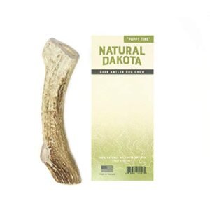 Natural Dakota Premium Deer Antler Chew Toys (Medium) Puppy Tine