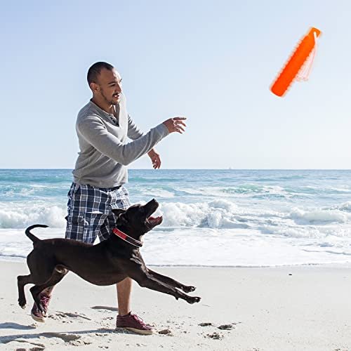 Floating Dog Fetch Toy 2-Pack: Water Training Bumper for Small to Large Dogs - Image 6