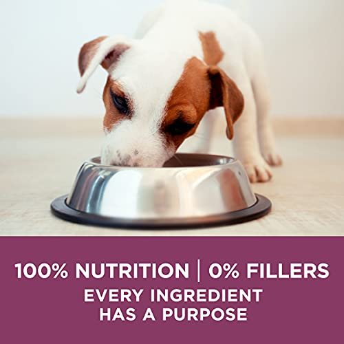 Purina ONE Healthy Puppy High Protein Natural Dry Dog Food, 31.1 lb - Image 8