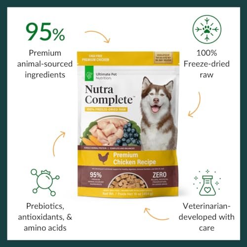 Nutra Complete Freeze Dried Raw Dog Food - Chicken, Vet Formulated, Nutrient-Rich Meal - Image 2