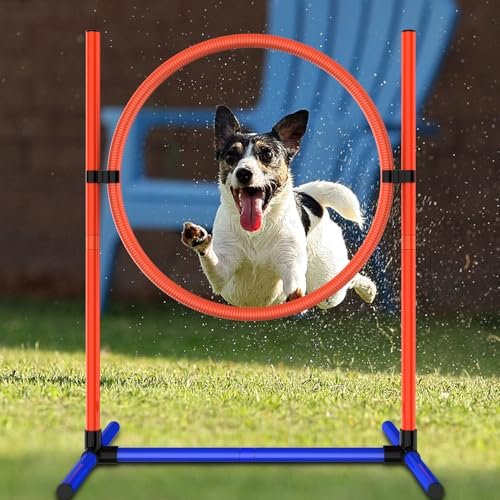 Pro Dog Agility Training Set: 3-in-1 Indoor/Outdoor Obstacle Course Kit with Jumps & Bag - Image 6