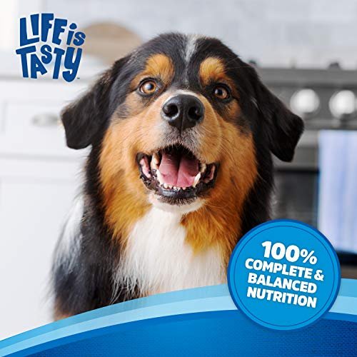 Small Breed Dog Food: Kibbles 'N Bits Mini Bits Beef & Chicken, 16 Lb - Image 7